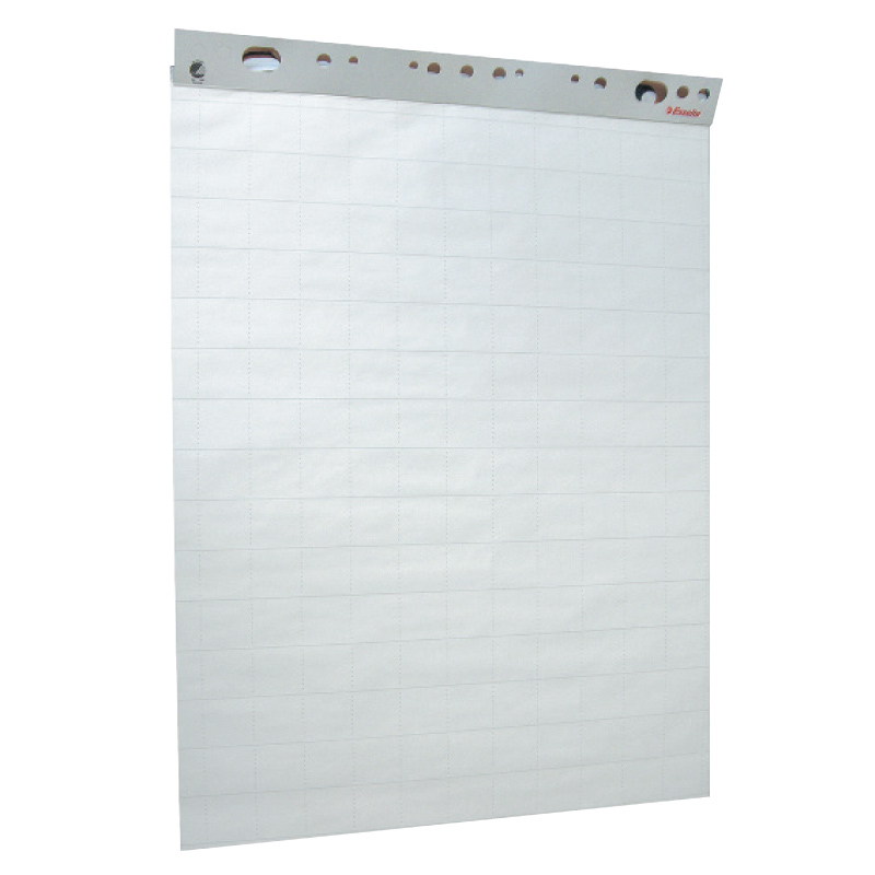 Papīra bloks ESSELTE, 60 x 85 cm, 50 lapas, pelēka